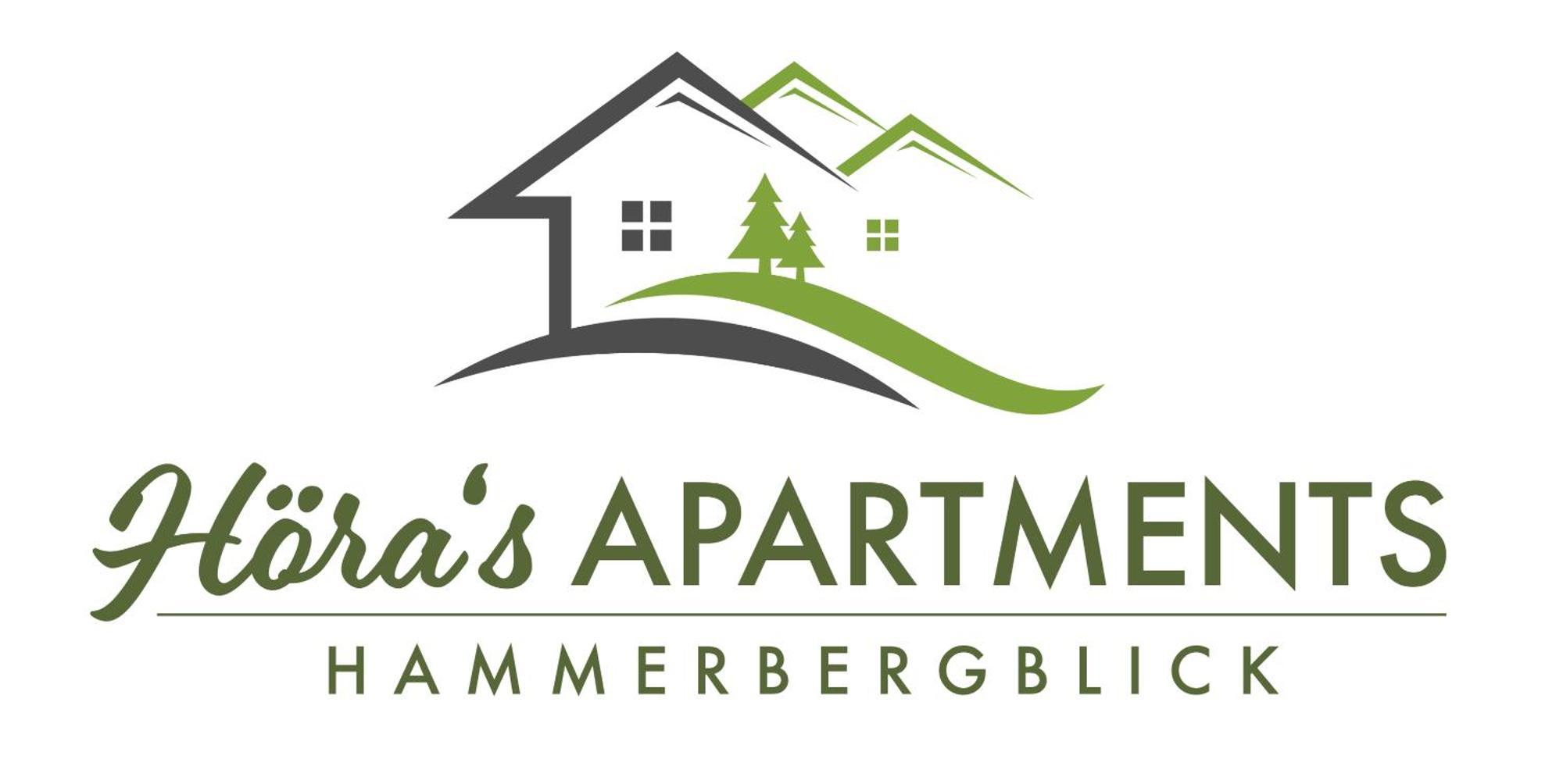 Hoera'S Apartments Hammerbergblick Münchberg المظهر الخارجي الصورة